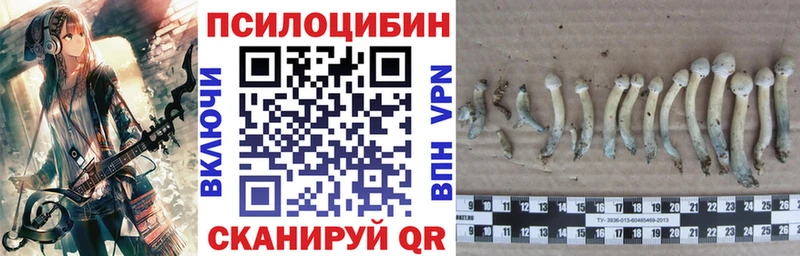 Псилоцибиновые грибы ЛСД  Купить закладки  Старый Крым 